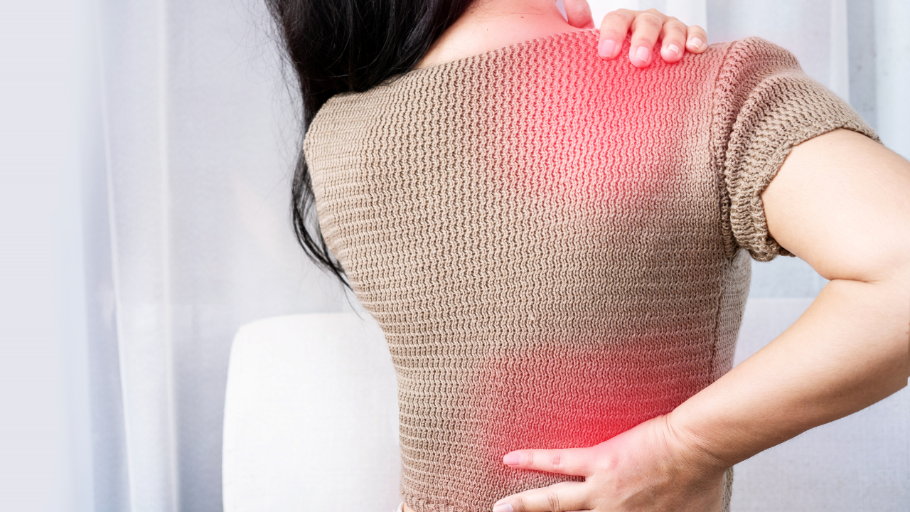 背中が痛い時に試したい、プロ推薦のストレッチ方法